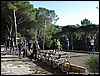 Madonnina_Trenino_11gen09_(09).jpg