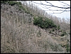 Madonnina_Nasone_15feb09_(06).JPG