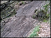 Madonnina_Nasone_15feb09_(08).JPG