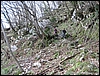 Pietrastornina_08mar09_(03).jpg