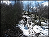 Pietrastornina_08mar09_(07).jpg