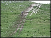 Matese_14giu09_(42).jpg