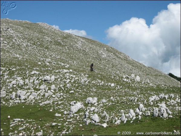 Clicca sull'immagine per ingrandire alla dimesione originale