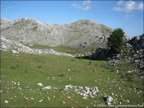 Clicca sull'immagine per ingrandire alla dimesione originale