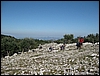 03_RaidAurunci_21Ago09_(12).jpg