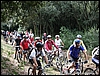 PinetaCuma_20set09_(36).JPG