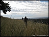 CeVecchia_SanMichele_13dic09_(41).jpg