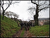 RoccaMonfina_10gen10_(46).JPG