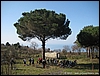 Vesuvio_14mar10_(02).JPG