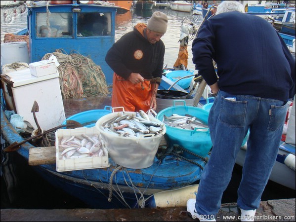 Clicca sull'immagine per ingrandire alla dimesione originale