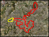 Veduta satellitare con traccia GPS del percorso