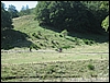 LagoLaceno_12set10_(12).JPG