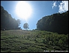 LagoLaceno_12set10_(34).JPG