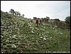 Caserta_24ott10_(32).jpg