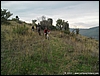 Caserta_24ott10_(33).jpg