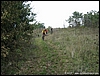 Caserta_24ott10_(39).jpg