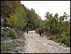 Matese_07nov10_(06).jpg