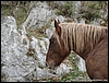 Matese_07nov10_(07).jpg