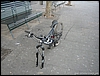 IV_Befana_02ge10_(03).jpg