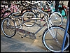 Cruiser - (06).jpg