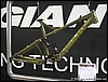 Giant - (12).jpg