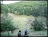 01_RaidAurunci_20Ago09_(35).JPG