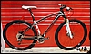 specialized_sworks29.jpg