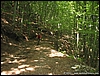 Pietrastornina_04lug10_(015).JPG