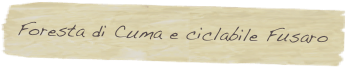 Foresta di Cuma e ciclabile Fusaro