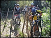 PinetaCuma_30set07_(06).jpg