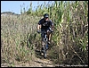 PinetaCuma_30set07_(12).jpg
