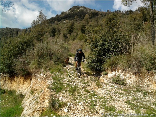 Clicca sull'immagine per ingrandire alla dimesione originale