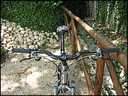 Scott_MC10_2004_(2).jpg