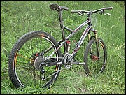 StumpJumper_2008_(1).jpg