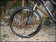 StumpJumper_2008_(4).jpg